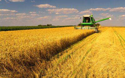 Saiba a importância do pós-venda para a sua concessionária agrícola